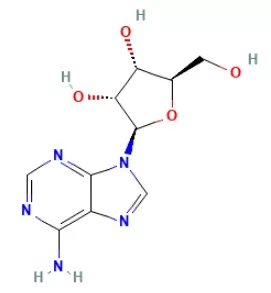2D Structures of Nucleoside-adenosine (from PubChem)